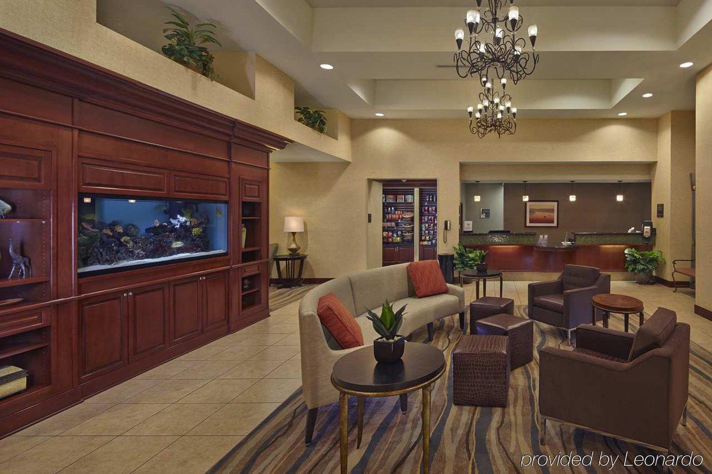 Homewood Suites By Hilton Daytona Beach Speedway-Airport Extérieur photo